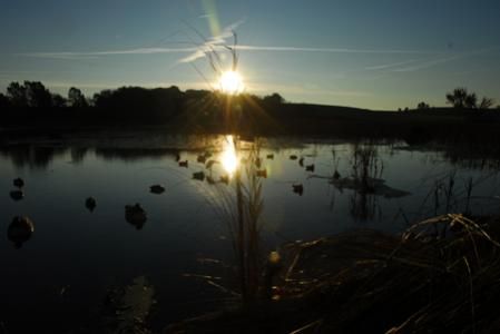 decoys sunrise (2)