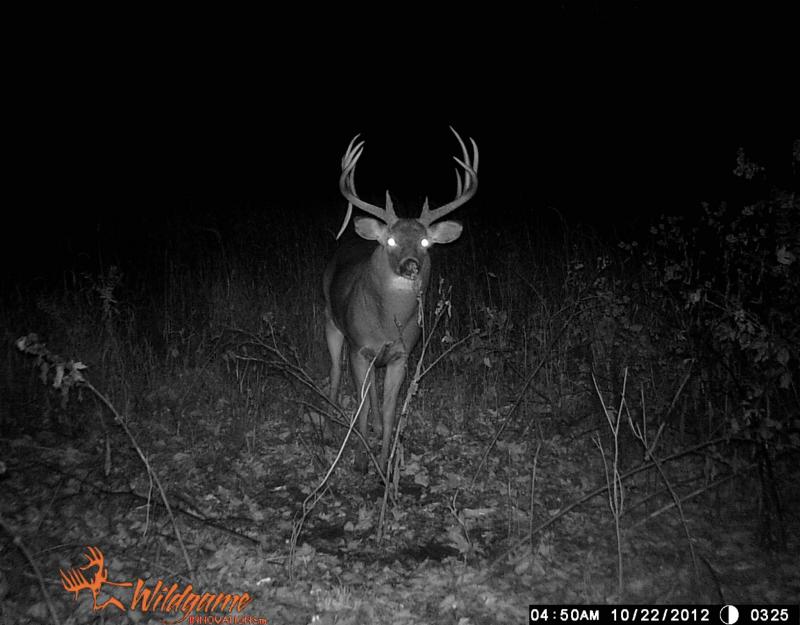 field cam 3 088