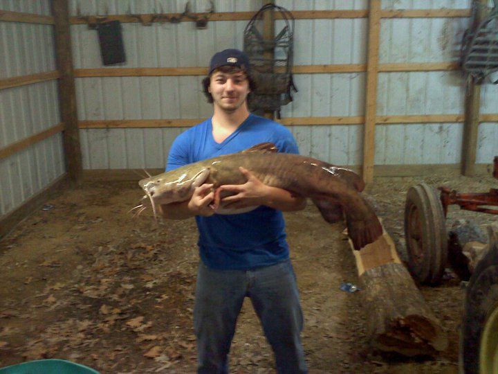 FLATHEAD