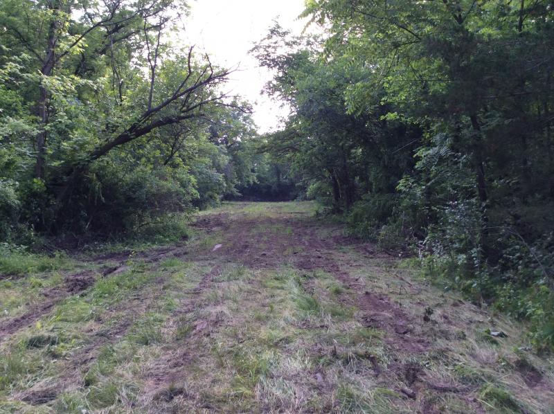 Food plot area