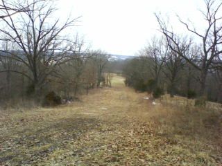 Foodplot Pics