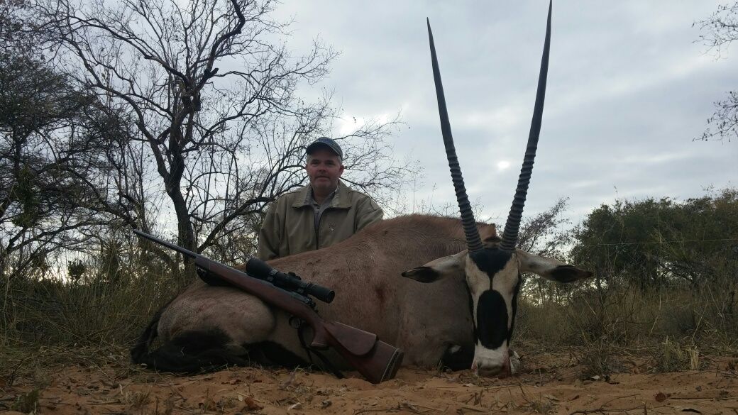 Gemsbok 2