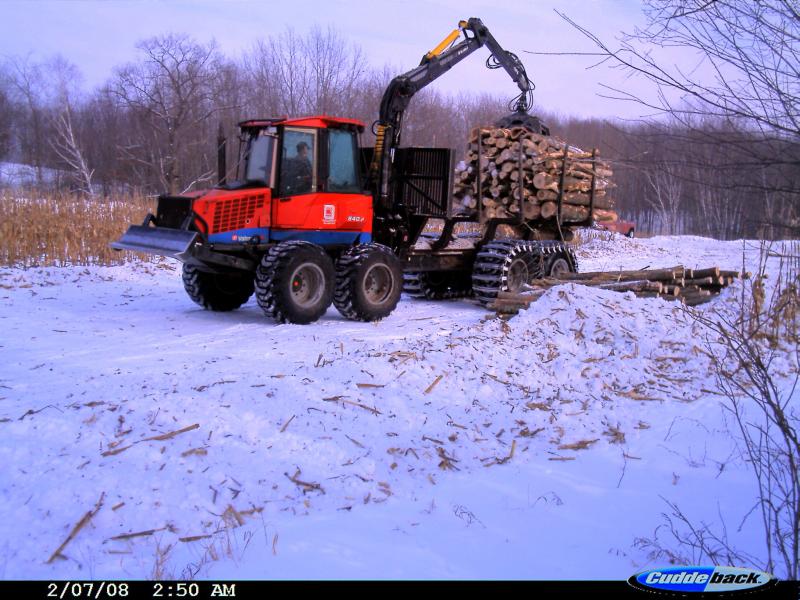 Haulin' logs