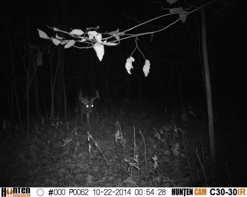 HUNT0062