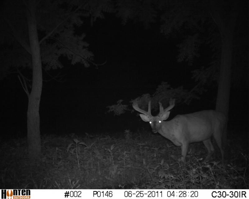 HUNT0146