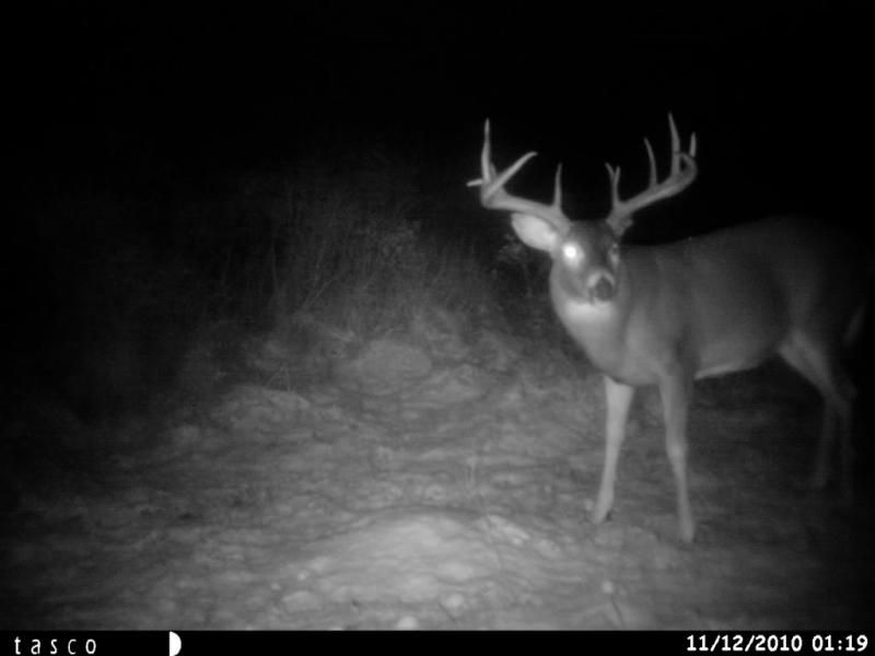 HUNT01574