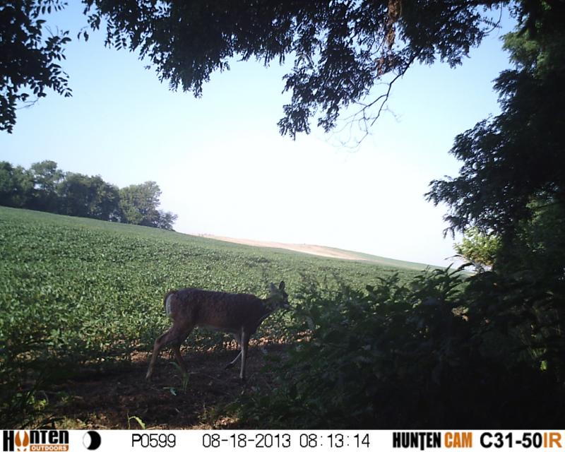HUNT0599