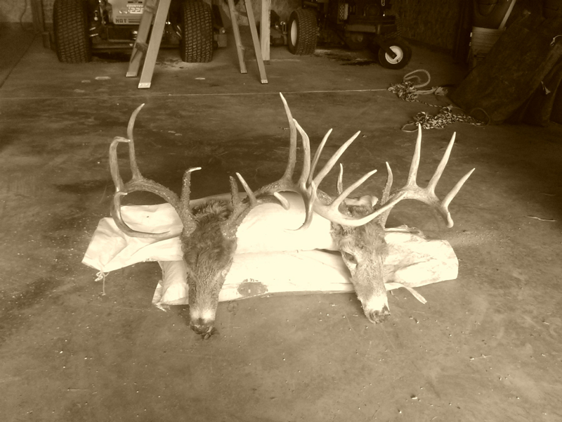 I can only hope to shoot on like this someday