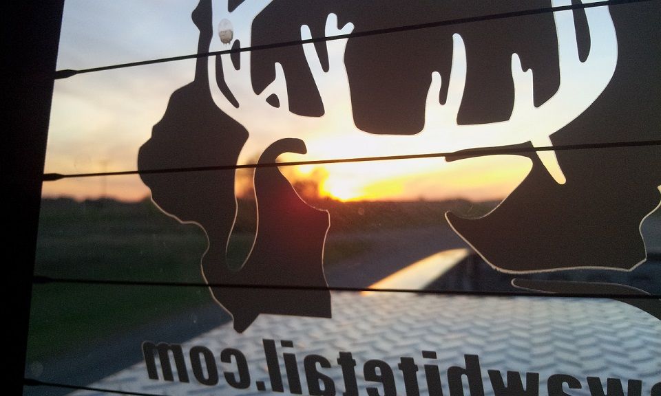 IA LOGO SUNSET