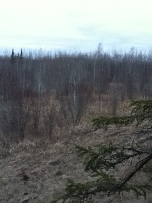image 2597146331