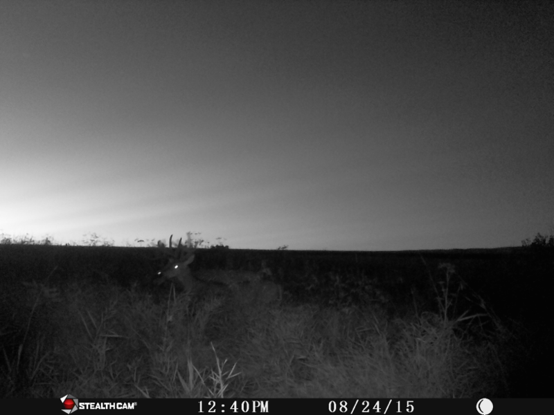 image 3321960605