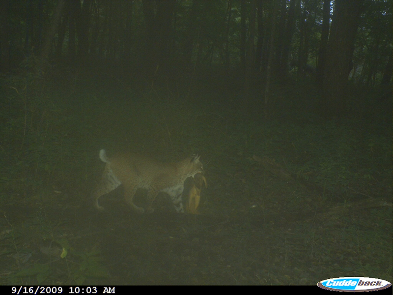 image 3465148422