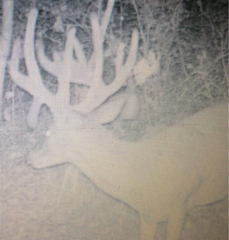 image 3670368427