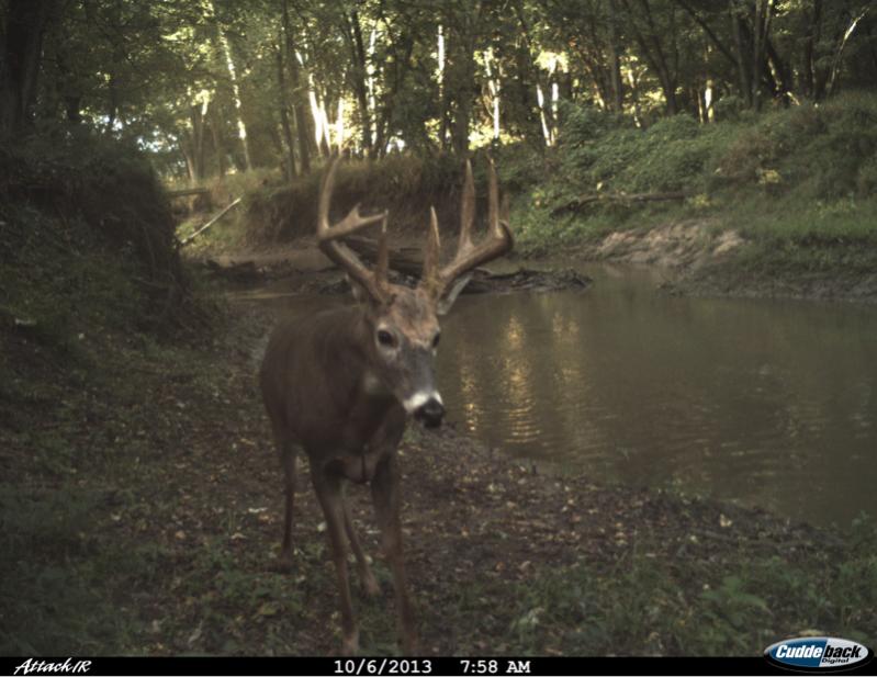 image 4259795065