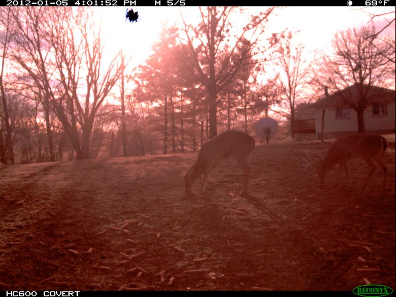 IMG 0085 (2)