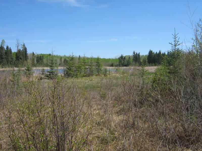IMG 0755