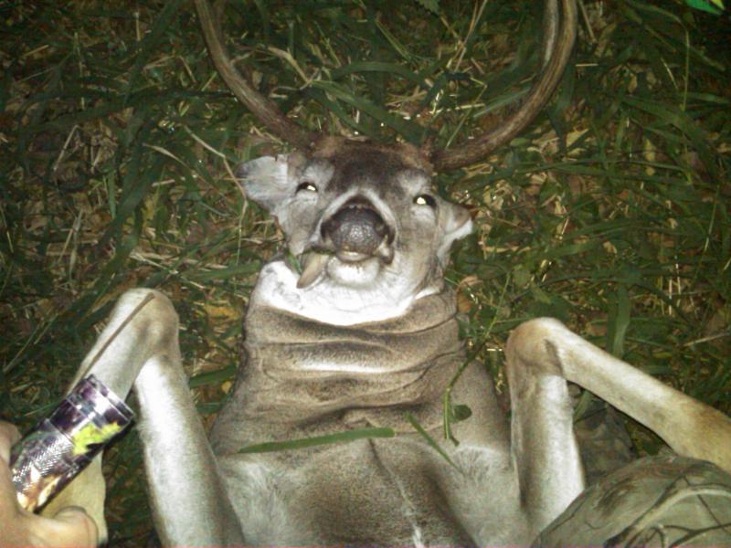 IMG 20121007 00276