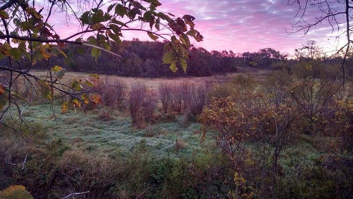 IMG 20151017 071812799 HDR