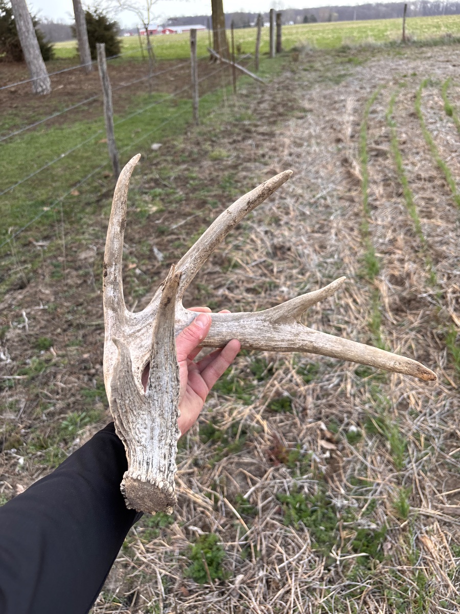 IMG_5939.jpeg