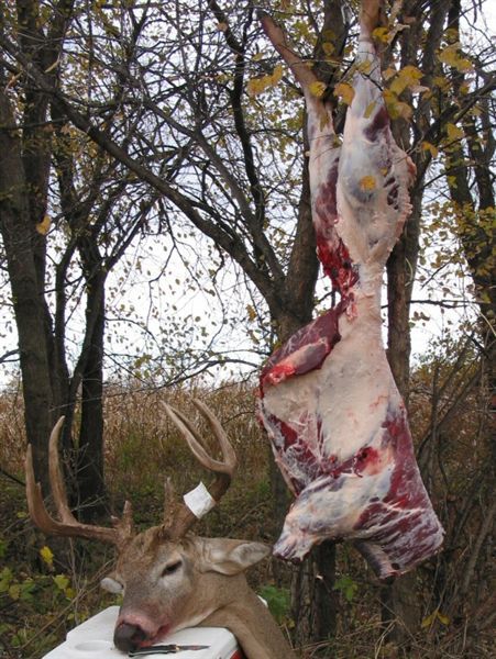 Iowa 07, butchered him on the spot and had him in coolers in the car and headed home in no time!