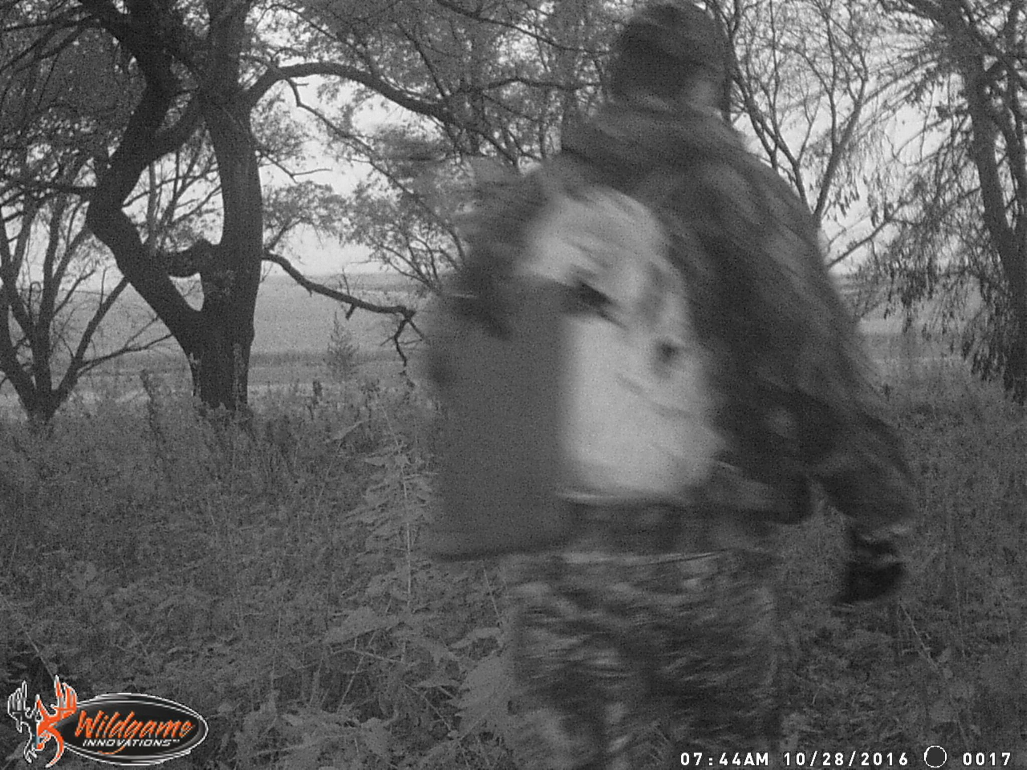 IR glow - back pack