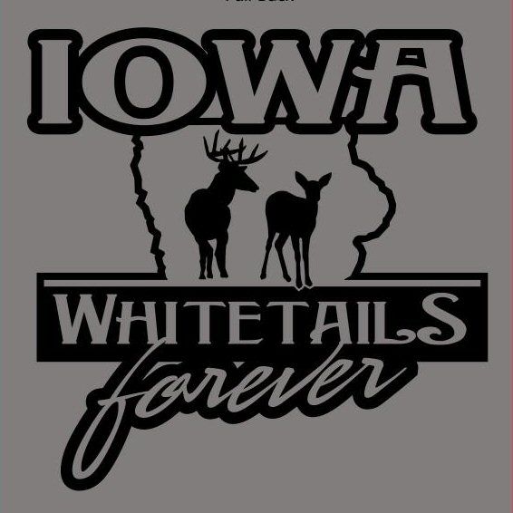 Iwf Logo2