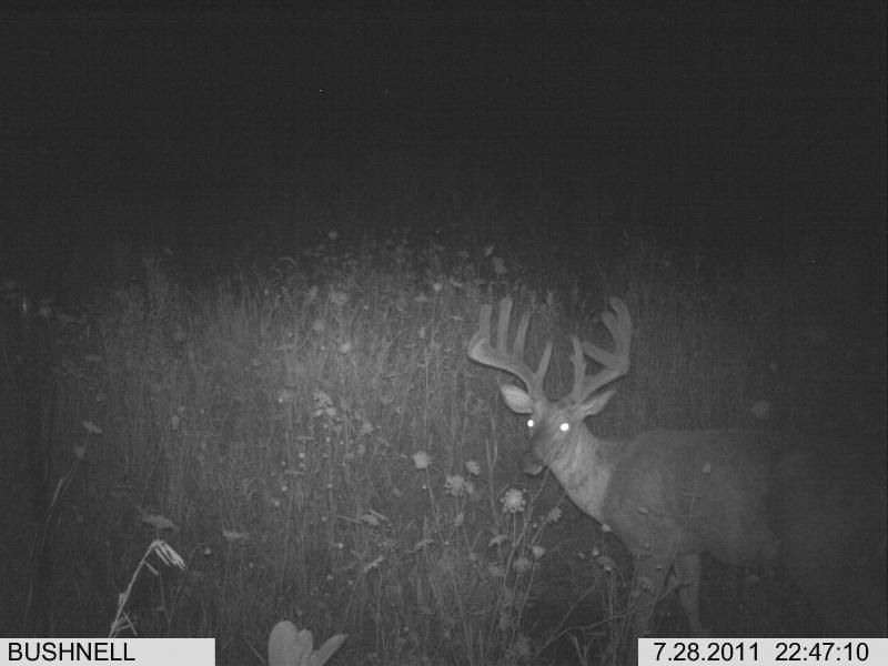 july31bigjim