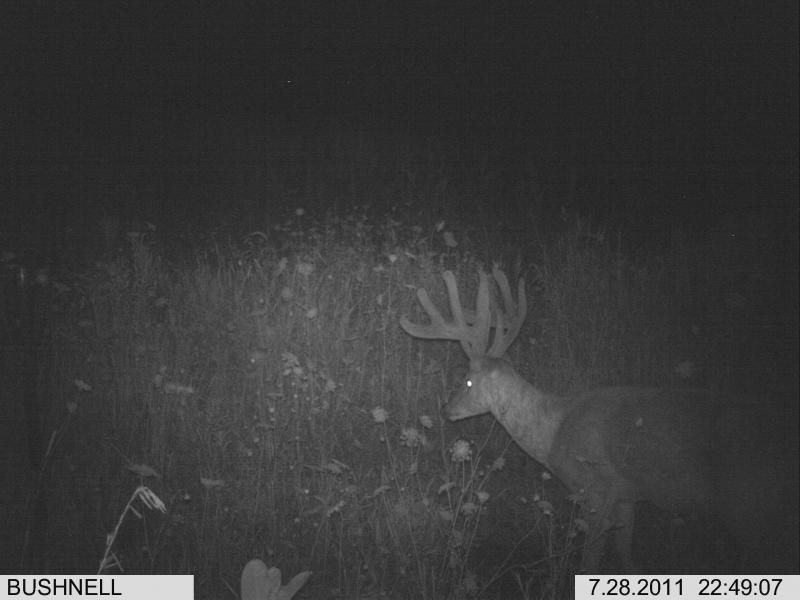 july31bigjimside