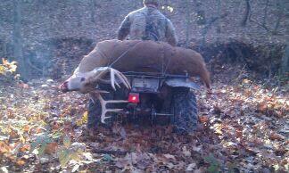 kicker 9's last trip out of the woods. 5.5 yr old giant bodied deer