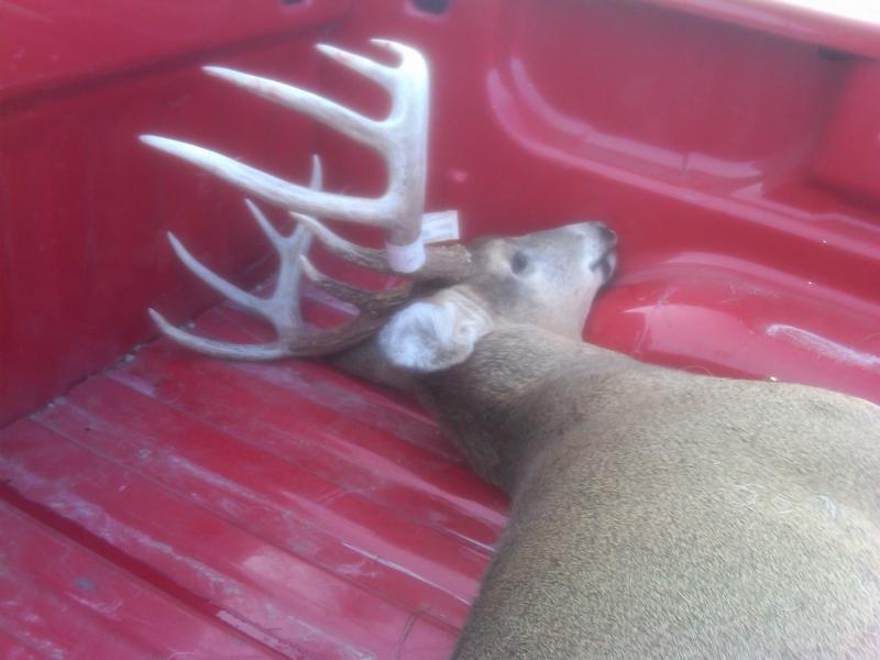 Late Season Muzzle