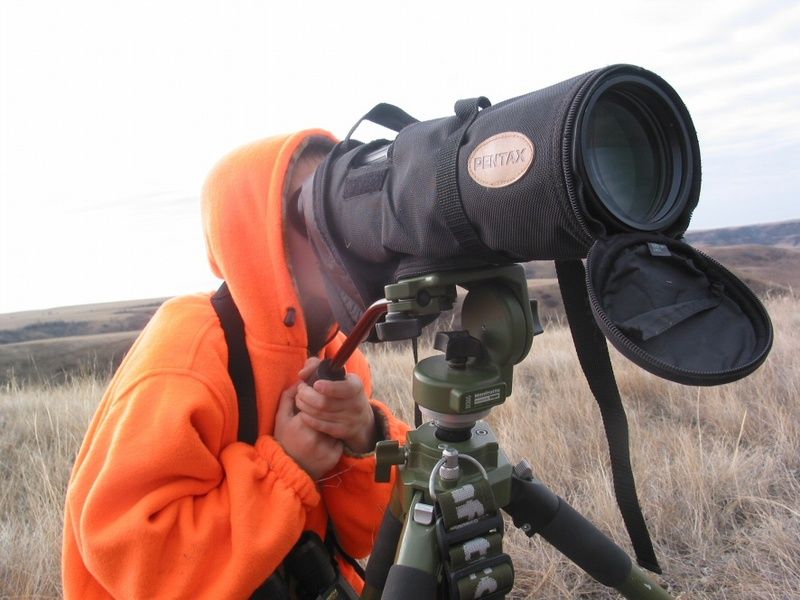 Little guy glassing