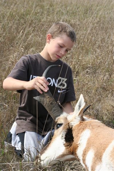 Little guy with my 2008 goat