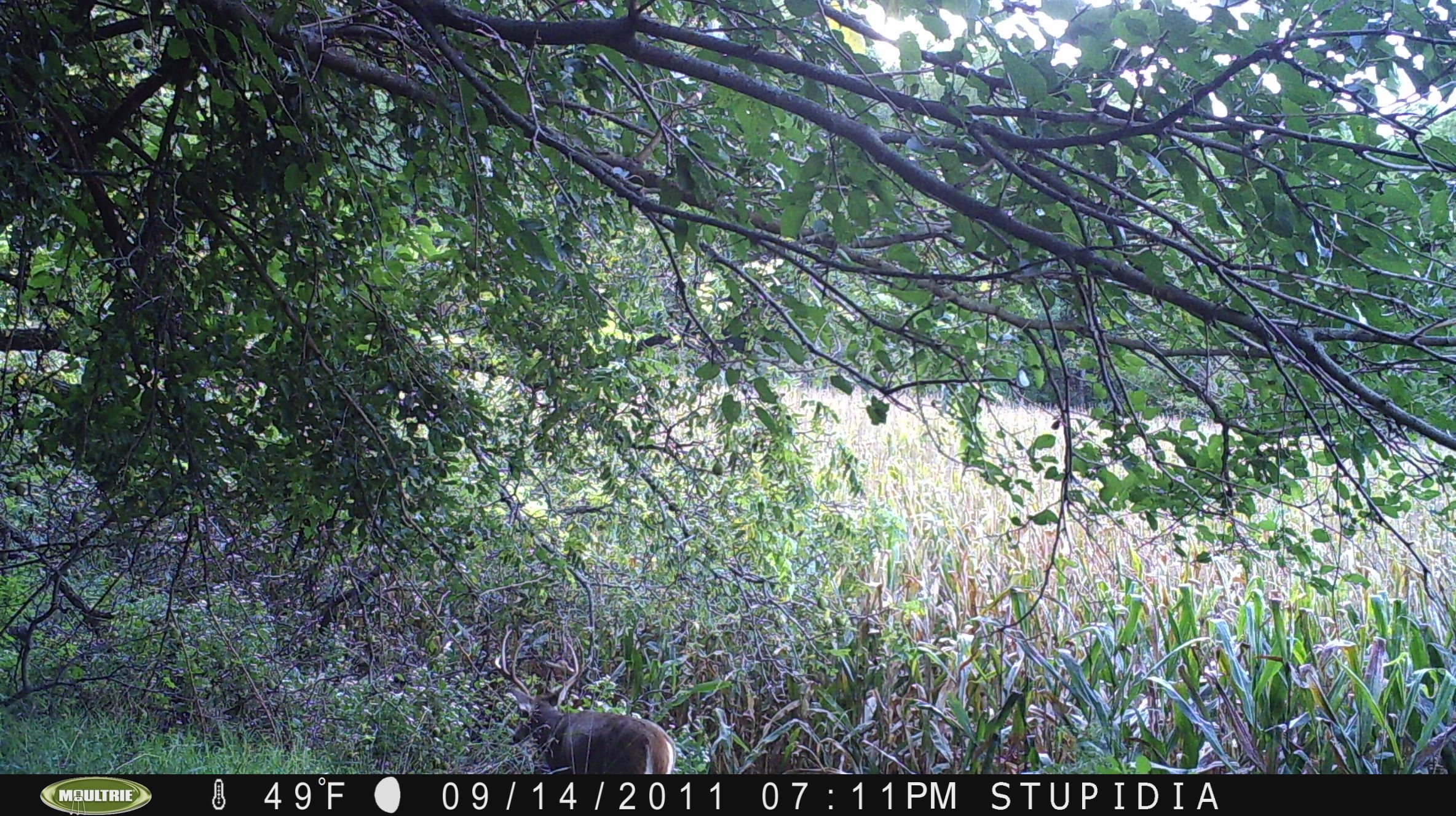 loess hills 2011 253