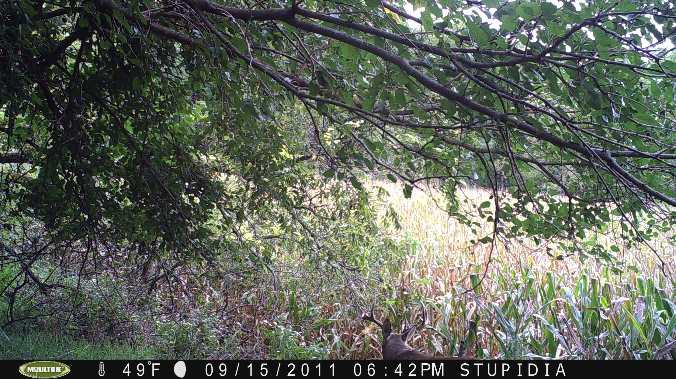 loess hills 2011 259