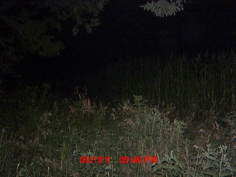 MDGC0073