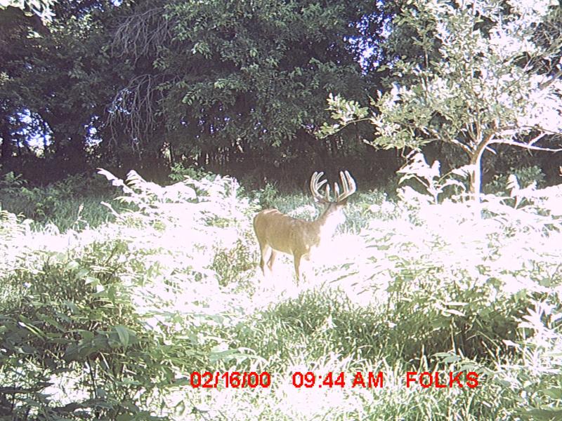 MDGC0100