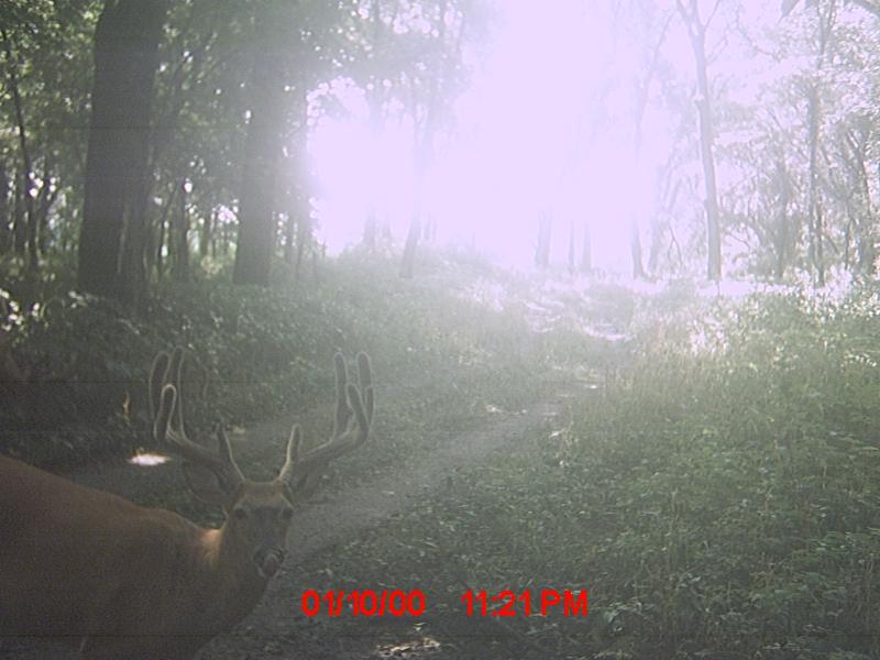 MDGC0140