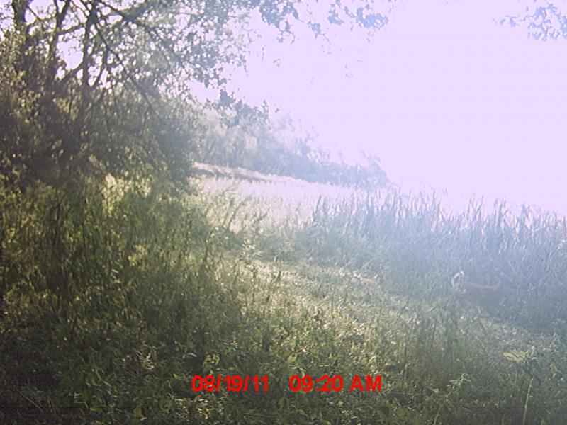 MDGC0142
