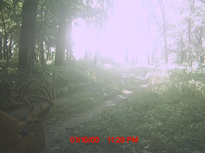 MDGC0157