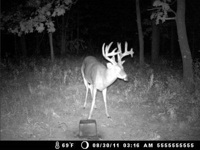 Mega-Rack