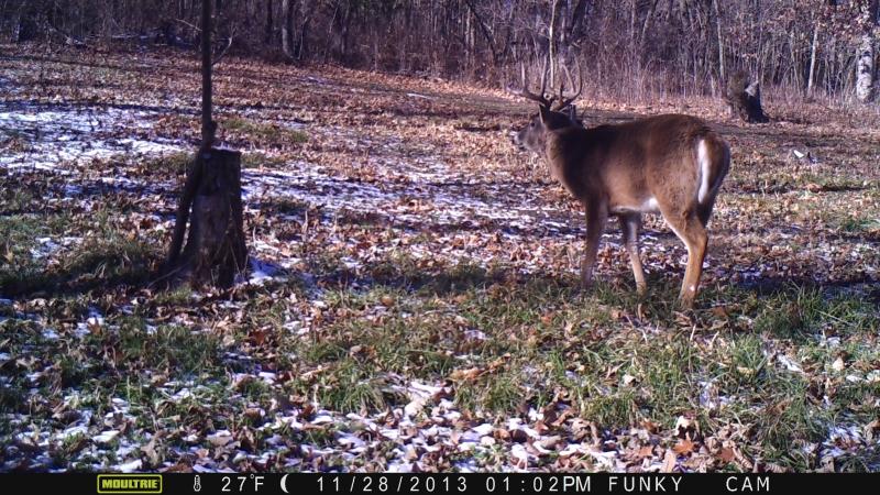 Moving through the plot