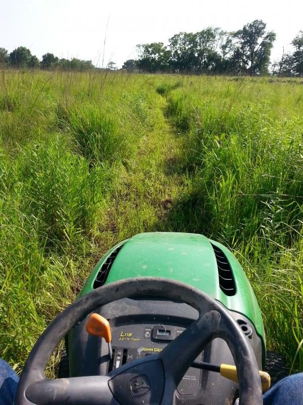 mowing paths