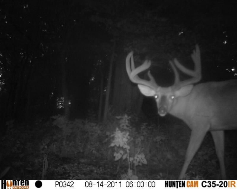 mr jingles from last year
