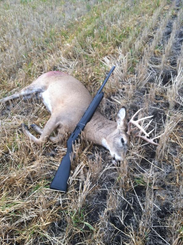 My 8pt