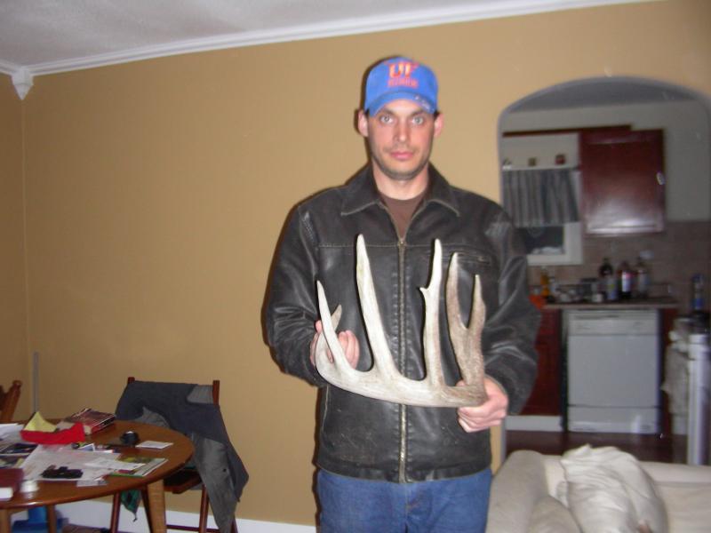 My largest shed ever 91 3/8