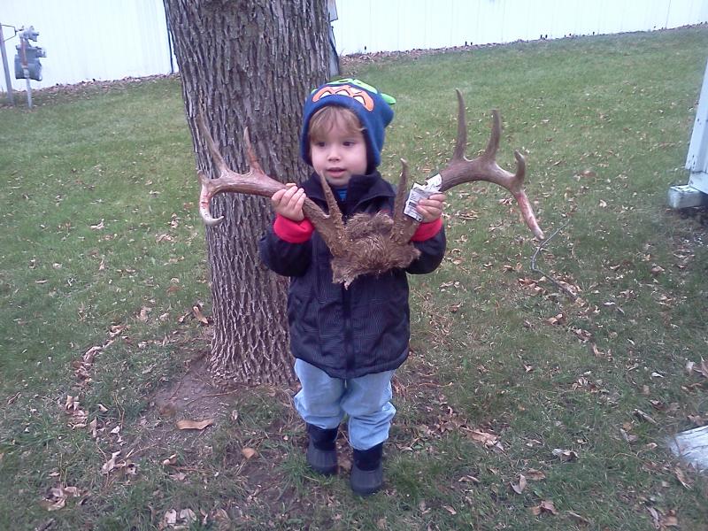 My son holding antlers for the fist time