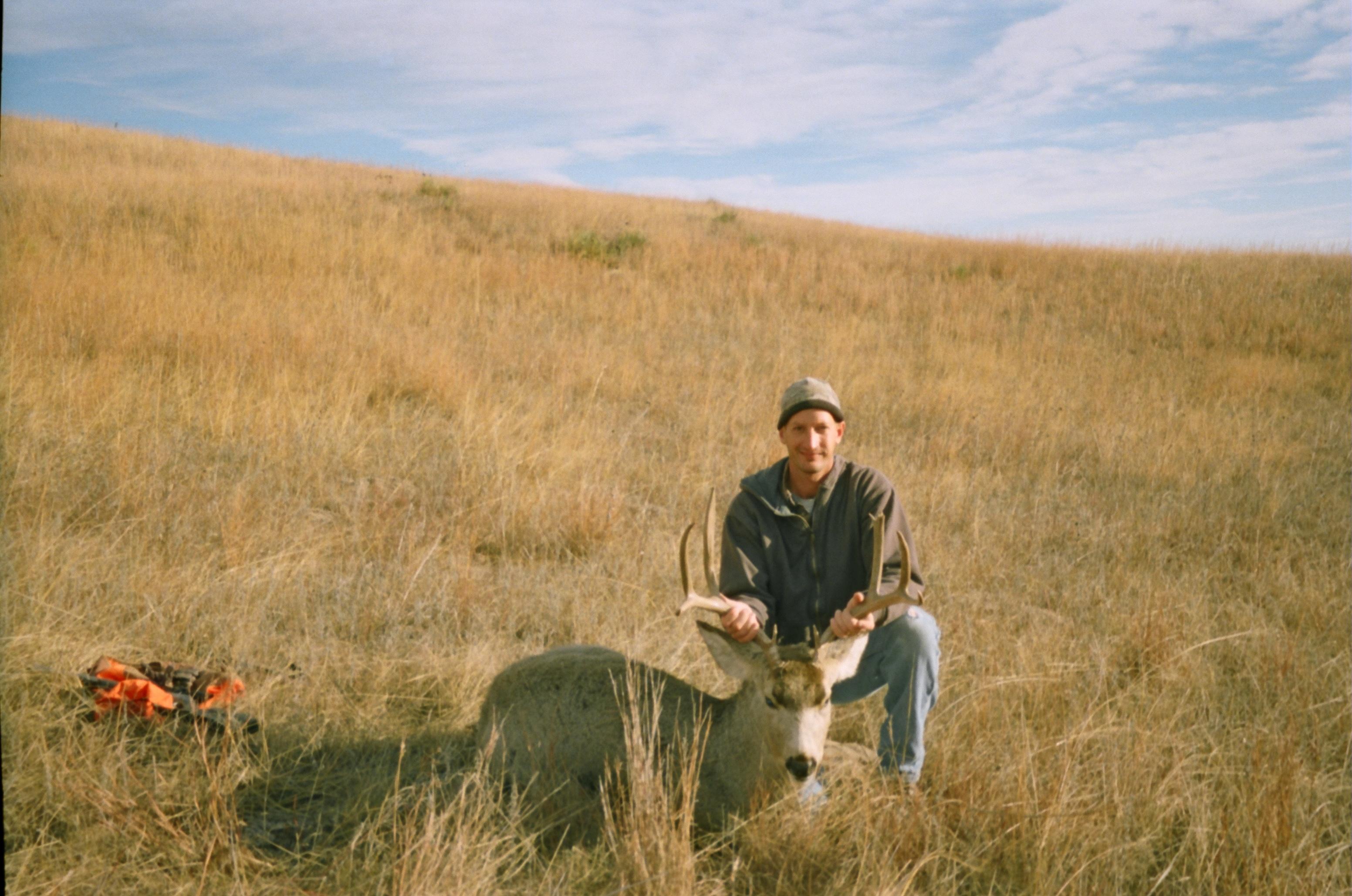 Ne. Mule Deer