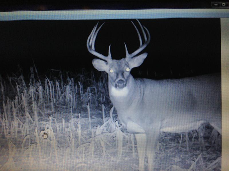 New Buck 10/11/2012