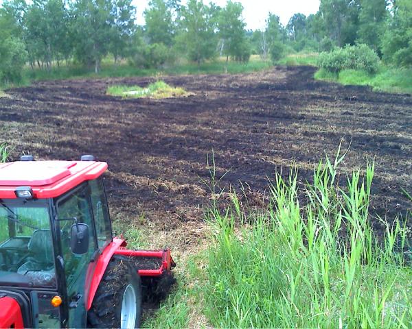 New Food Plot