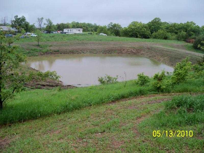 New Pond